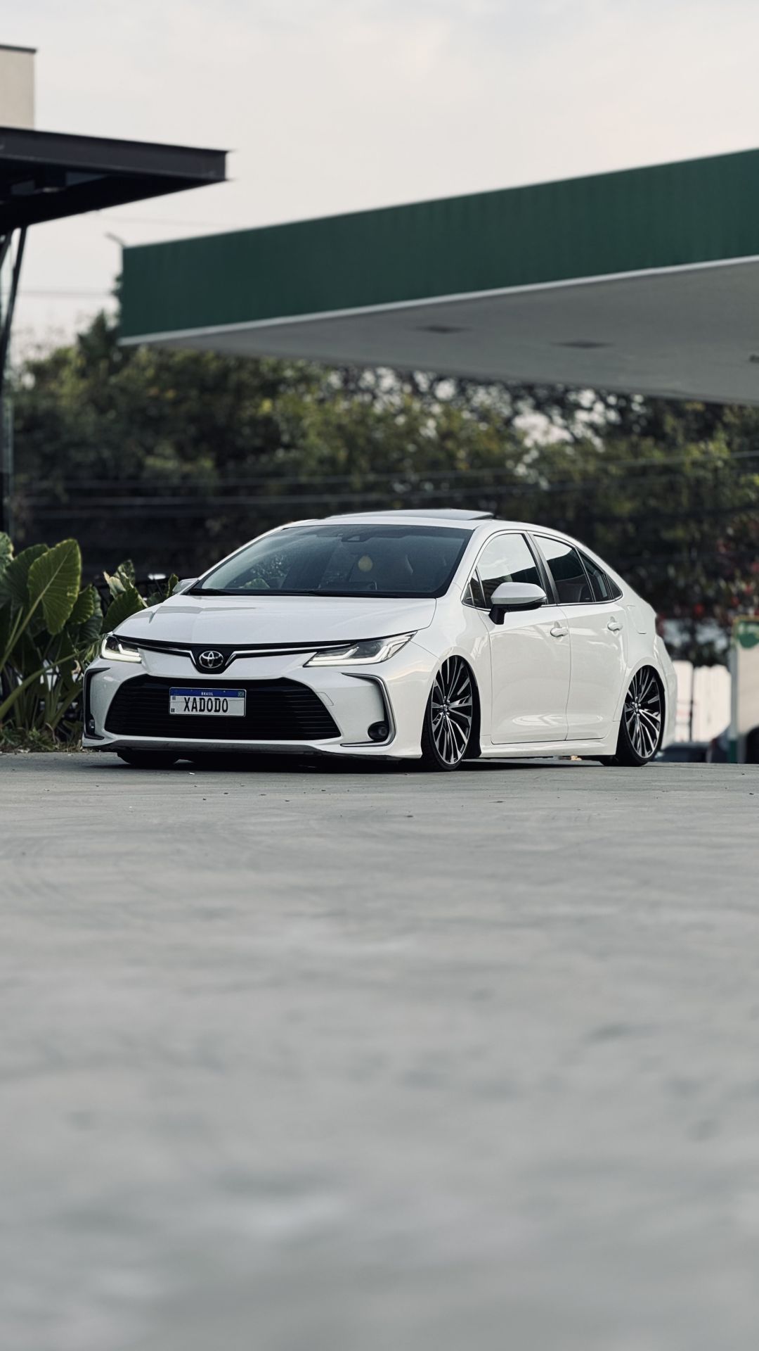COROLLA ALTIS  + TIGER 800